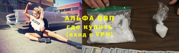 хмурый Новозыбков