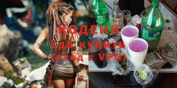 хмурый Новозыбков
