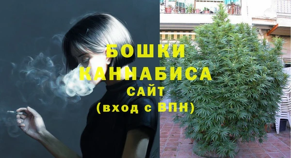 хмурый Новозыбков