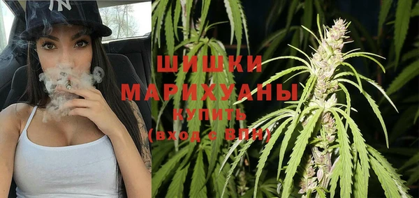 хмурый Новозыбков
