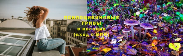хмурый Новозыбков