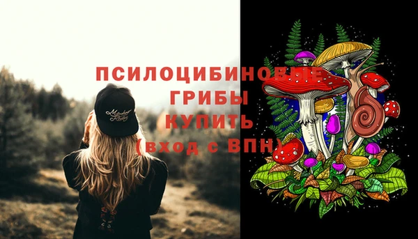 тгк Новокубанск