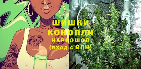 хмурый Новозыбков