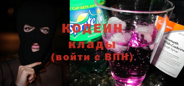 хмурый Новозыбков