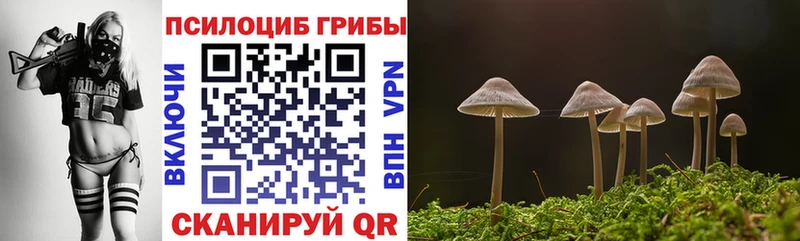 Галлюциногенные грибы GOLDEN TEACHER  Покачи 