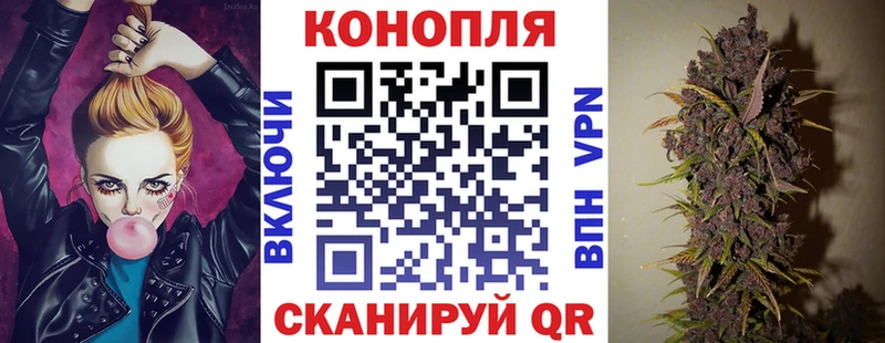 магазин    Покачи  Канабис Amnesia 